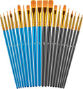 Paint Brushes Set, 20 Pcs Paint Brushes for Acrylic Painting, Oil Watercolor Acrylic Paint Brush, Artist Paintbrushes for Body Face Rock Canvas, Kids Adult Drawing Arts Crafts Supplies, Blue+Black