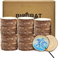 60 Pcs Wood Slices 2.4-2.8 Inch, Wooden Discs for Crafts