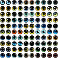 100PCS Eyes Glass Cabochon for Clay Doll Making Sculptures Props Craft DIY Findings Jewelry Making Christmas Gift