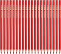 PATIKIL Red Colored Pencils Set,20 Pcs Oil Color Pencils Wooden Coloring Drawing Pencil for Artists Art Painting
