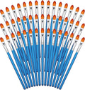 Sherr 48 Pcs Paint Brush Set Bulk Acrylic Brush Wood Paint for Detail Art Crafts Kids Artist Adult Watercolor Oil Face Body(0.7 Inch,Filbert Style)
