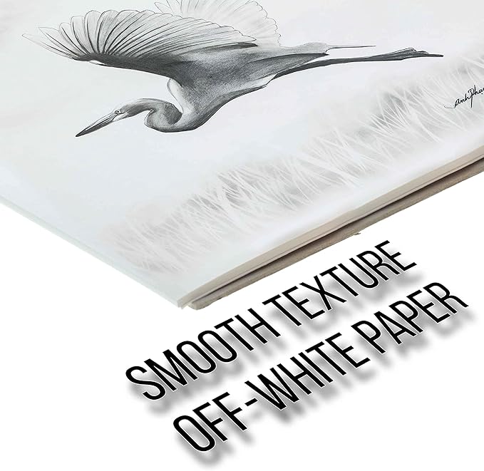 U.S. Art Supply 9" x 12" Premium Drawing Pad, Pack of 2 (50 Sheets Each), 60 lb (100 GSM) - Artist Sketch Book, Mixed Media Paper, Sketchbook for Drawing, Colored Pencils, Charcoal - Adults, Students