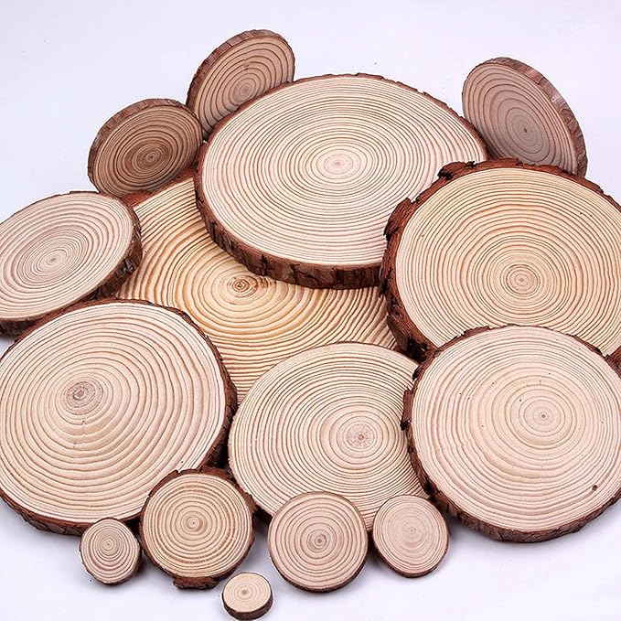 60 Pcs Wood Slices 2.4-2.8 Inch, Wooden Discs for Crafts