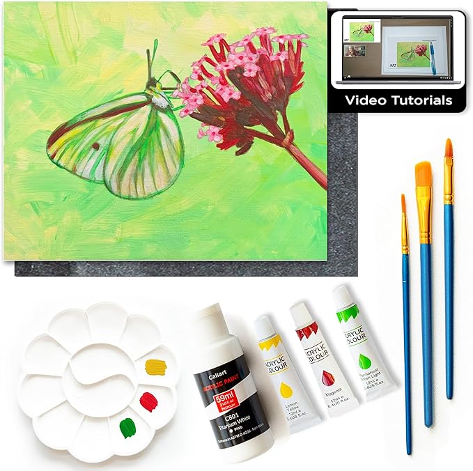 DIY Art Painting Kit for Adults – Learn to Paint Moth with Video Tutorials – 9 Pieces Acrylic Paint Set for Adults –Perfect Christmas Crafts & Holiday Gifts for Art Lovers