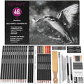 HIFORNY 46 PCS Sketching Drawing Pencil Set,Sketch Pencils Art Supplies with Colored Charcoal Pencils,Graphite,Charcoal,Blending Tools,Accessories,Drawing Kit for Adults Artists