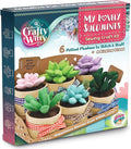Felt Succulents Craft Kit. Make 6 Potted Colorful Plushies & A Display Rack. Mini Garden DIY Sewing Project, Activity Set, Arts & Crafts Supplies - Great Gift for Teens and Adults