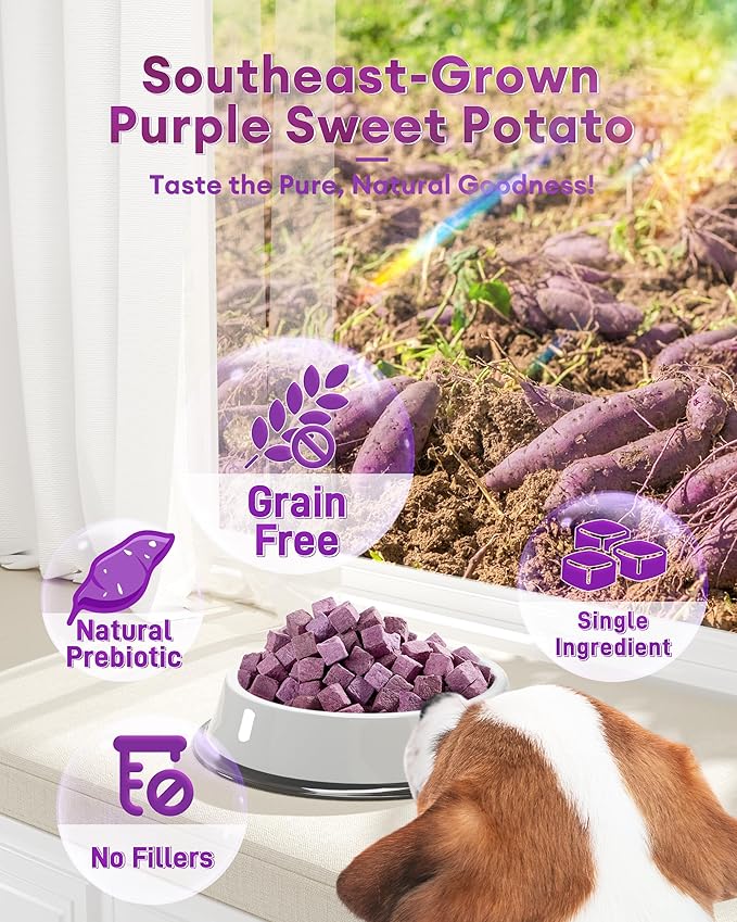 Freeze-Dried Purple Sweet Potato Treats for Dogs & Cats, All-Natural, Low Fat, High Fiber, No Preservatives, 100g