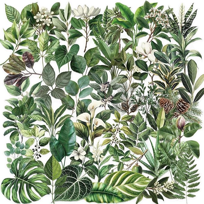 50-Piece Transparent Waterproof Greenery Plant Stickers for Scrapbooking, Journaling & Crafting – Realistic Botanical Leaves, Ferns, and Tropical Plants, Self-Adhesive Decorative Stickers