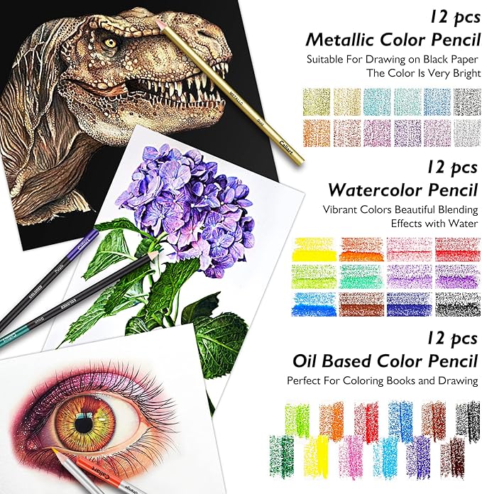 Caliart 176PCS Art Supplies Sketching Kit with 100 Sheets 3-Color Sketch Book, Graphite Colored Charcoal Watercolor & Metallic Pencils, Drawing Set Christmas Gifts for Adults Teens Girls Boys Kids