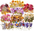 380 Pcs Pressed Flower Sticker Set Dried Flowers Themed Resin Journaling Stickers Floral Natural Botanical Fallen Leaves Decals for Scrapbook Supplies Bullet Junk Journal Bottles Planner Laptops