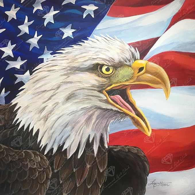 DIAMOND ART CLUB Eagle with American Flag Diamond Painting Kit, Fun DIY Crafts for Adults, Round Diamond Art Canvas, 13" x 13"