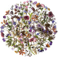 Maxleaf 80 Pieces Natural Vintage Flower Stickers, Self-Adhesive Transparent Flower Decals for Scrapbooking Supplies, Waterproof Nature Floral Clear Stickers for Adult Card Making Letters DIY