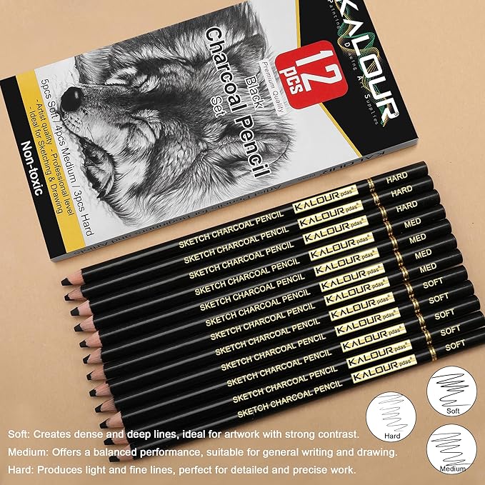KALOUR Professional Charcoal Pencils Drawing Set -12 Pieces Soft, Medium and Hard Charcoal Pencils for Drawing, Sketching, Shading, Artist Pencils for Beginners & Artists