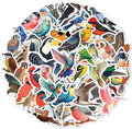 BEATRI Bird Stickers 50Pcs Vinyl Waterproof Decals for Water Bottles, Laptop, Notebook, Scrapbook, Luggage, Cell Phone, Skateboard, Helmet (Bird Stickers)