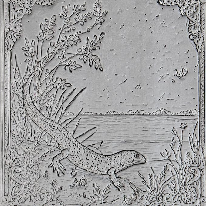 Understream Collection 4-Pack Clay Texture Rollers (4") - Freshwater Set #01 - Embossing Pattern Rollers for Polymer & Ceramic Clay, Pottery & Crafts