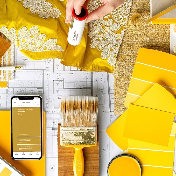 Datacolor ColorReader Pro – Identify Paint Color Instantly – Professional Color Matching Tool - Designed For Painters, Designers and Facility Managers