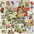 50-Piece Clear Vintage Cottagecore Aesthetic Floral & Plant Scrapbook Stickers - Waterproof Retro Botanical, Wildflower, Postcard Flower Decals for Journals, Art Crafts, Card Decoration